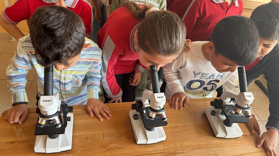 3C Sınıfı ile Mikroskobik Keşif